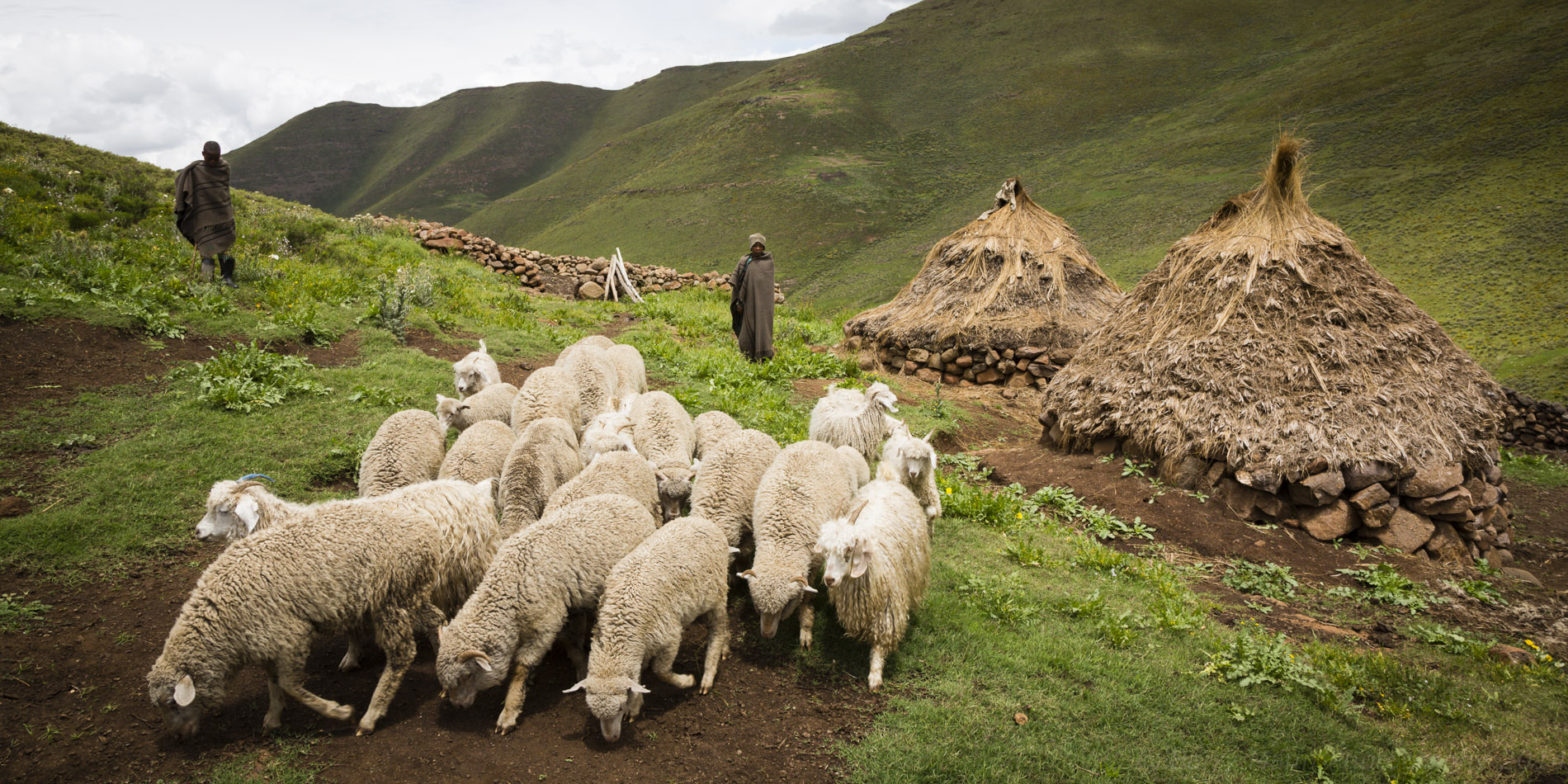 Mountain shepherds, Lesotho